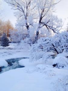 1525107_10152124760057674_838841537_n