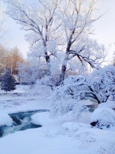 1560708_10152124759987674_1505749565_n