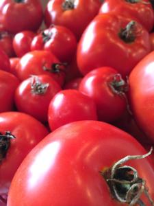 10593015_10152663693742674_6768438586675939842_n