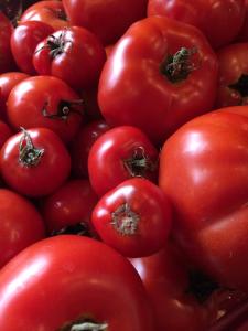 10624560_10152663693582674_4296620918972498284_n