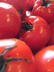 10639732_10152663693682674_6086813403781896663_n